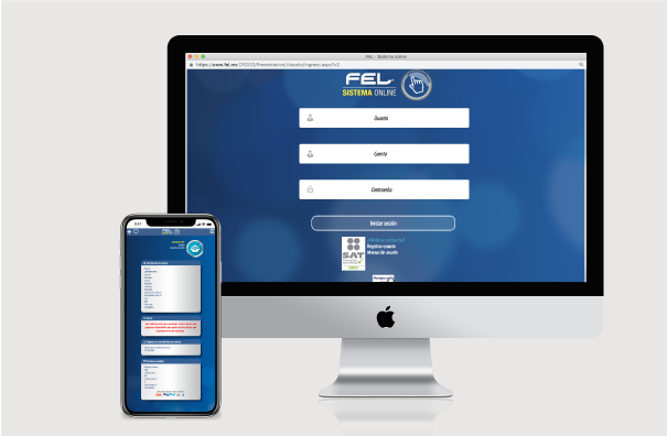 Accesibilidad portal FEL